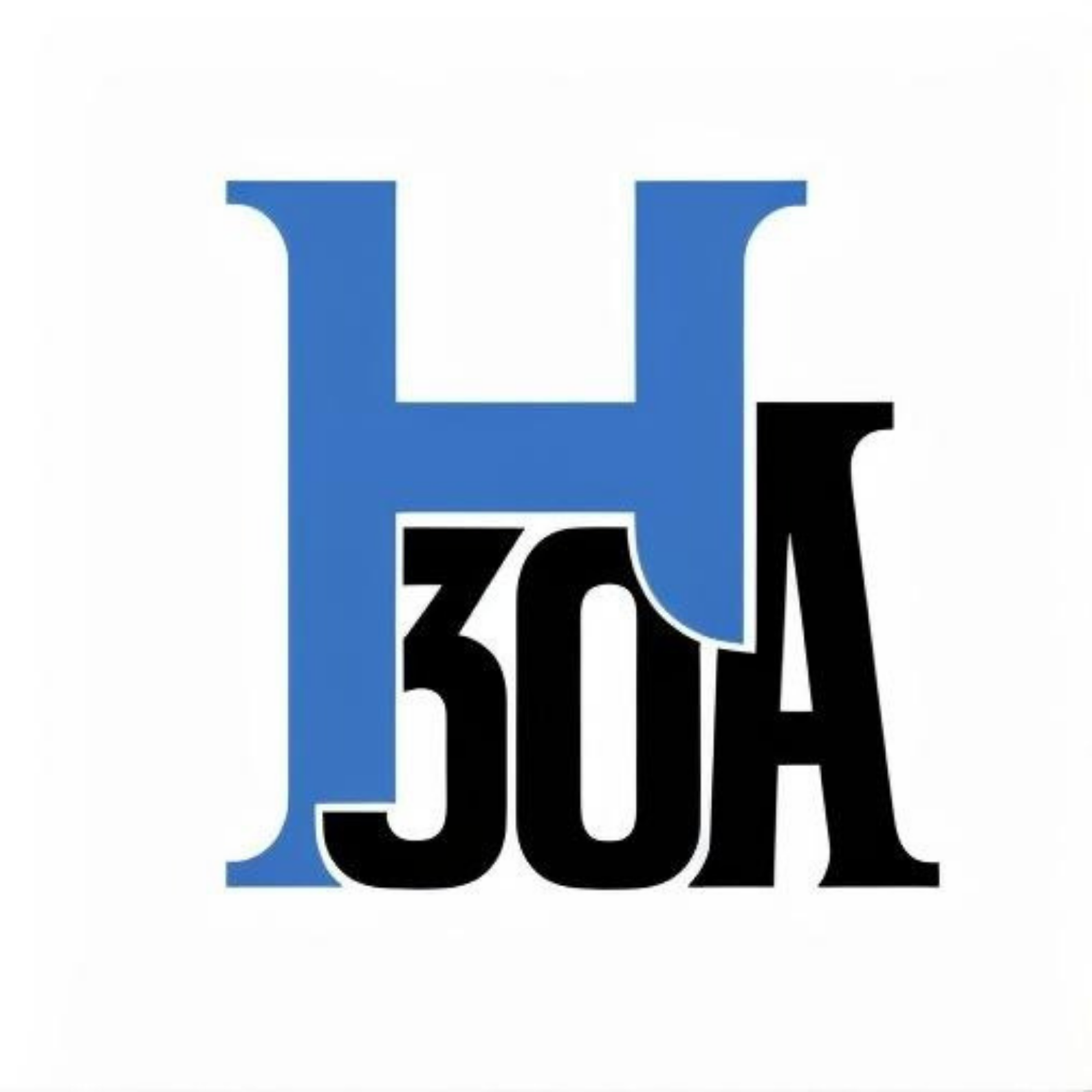 Homely 30A Logo