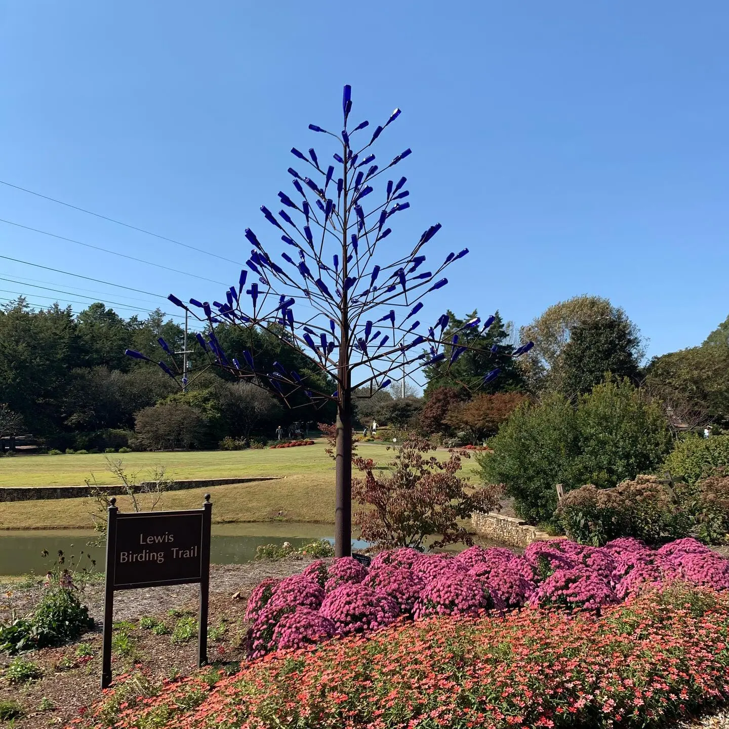 Scenic view of The Dogwood Trail and Bush Azalea Trail - Huntsville Botanical Garden