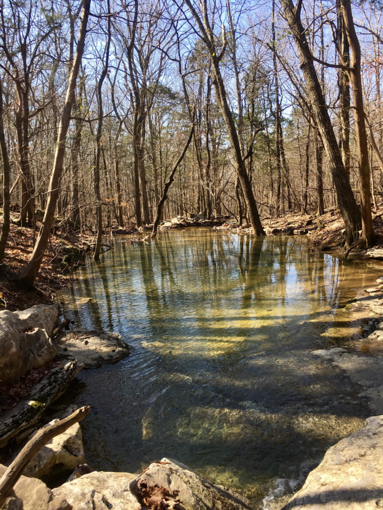 Blevins Gap Nature Preserve