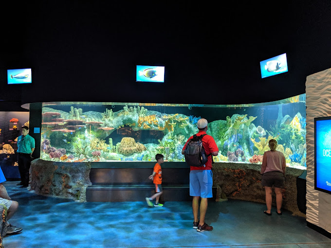 Cook Museum of Natural Science