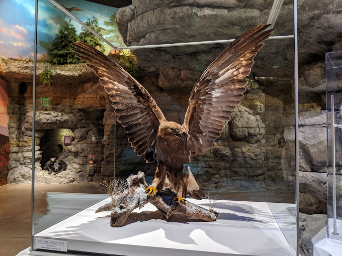 Cook Museum of Natural Science