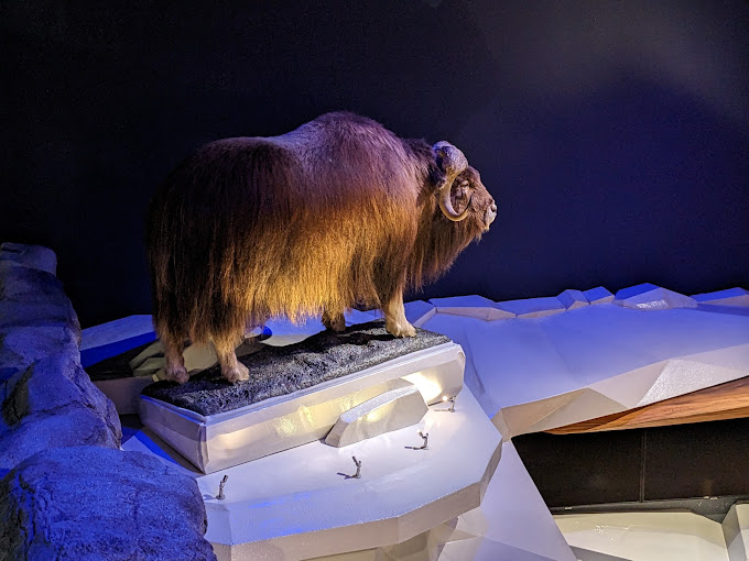 Cook Museum of Natural Science