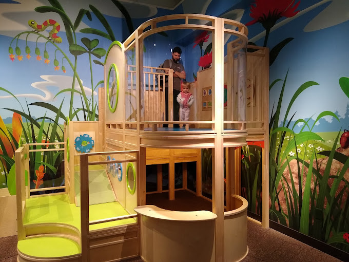 Cook Museum of Natural Science