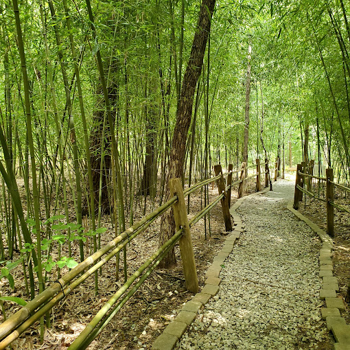 Hiking Huntsville Alabama