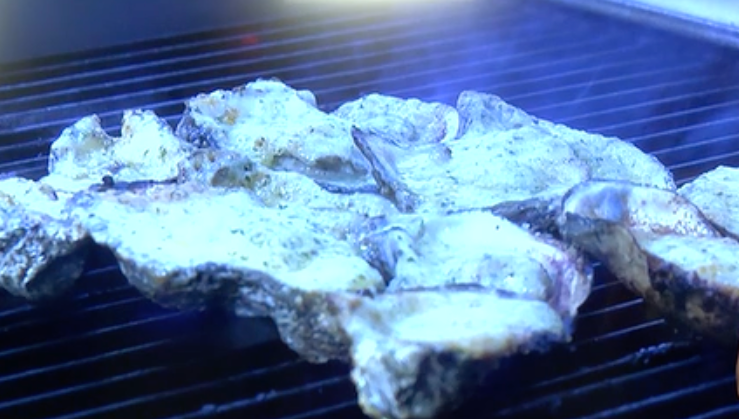 Oyster